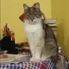 Отзыв от Серафима Муратова